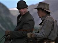    (2001)