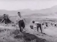   (1962) 
