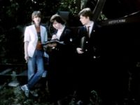  (1988)