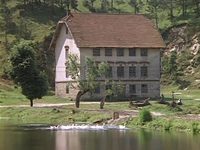 '    (1979)
