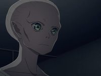   (2023)