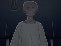   (2023)