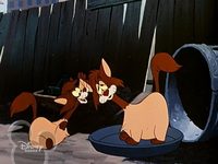   (1950) 
