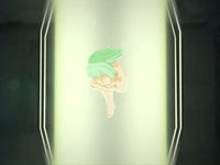   (2020) 
