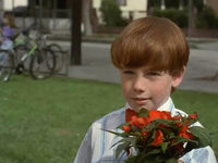   3 (1995) -  1