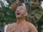 - (1984) -  4