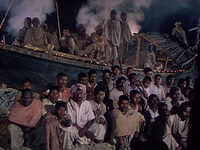  (1951) -  19