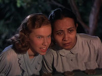  (1951) -  21