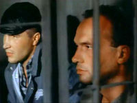    (1992)