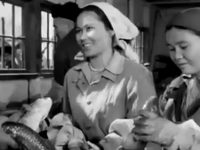  (1958)
