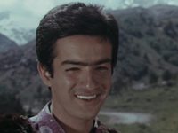    (1976)