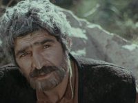    (1976)