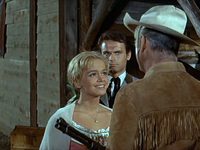   -   (1965) -  29