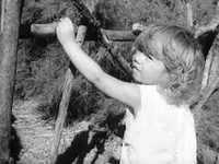   (1952) 
