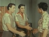    (1963)
