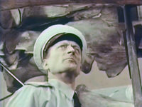    () (1965) -   -  16