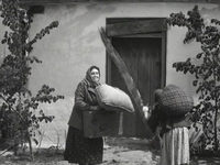    (1960)
