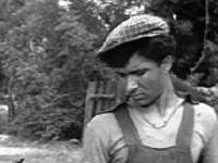   (1964) 
