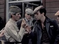    ... (1979) -  21