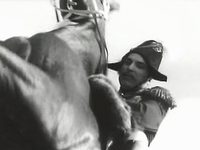   (1969)