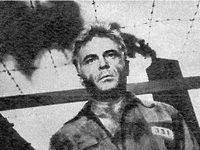   (1959)