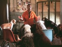   2 (2001)
