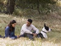 7  (2008) -  11