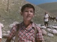    (1966) -  17