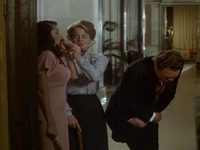   (1981)