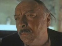    (1984) -  13
