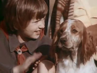    (1979) -  3