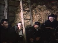    (1987) 
