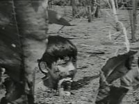   (1972) 
