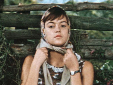    (1981)