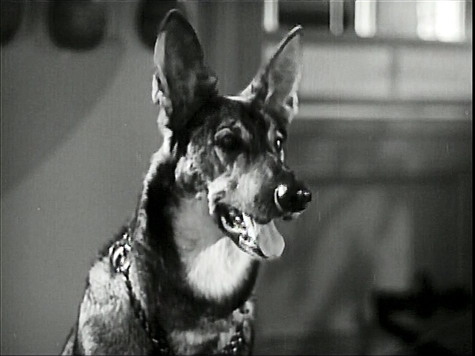    (1942)