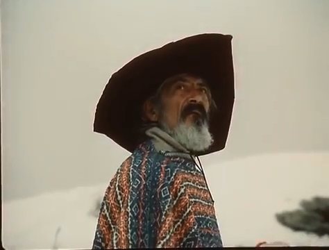     (1985)