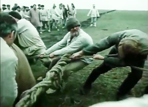     (1988)