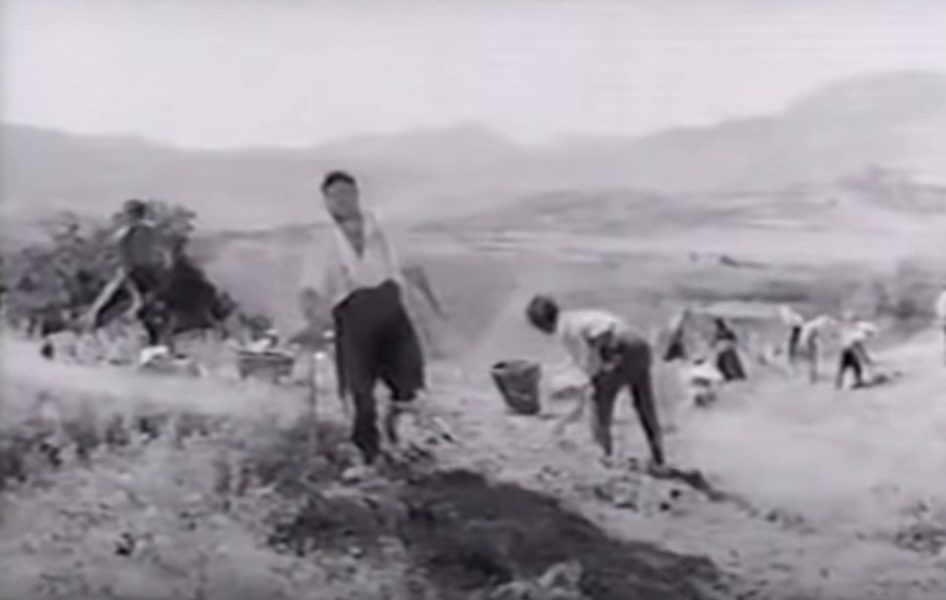   (1962)