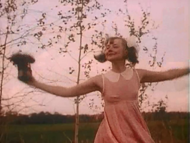 ׸  (1988)