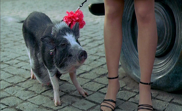    -2 (2006)