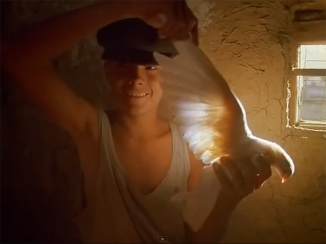     (1986)