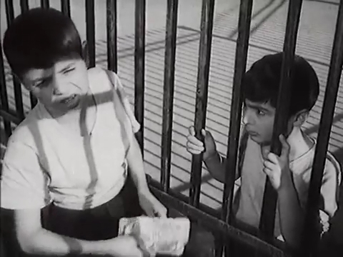   (1958)