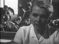   (1966)