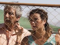 33 (2014) -  43