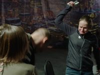    ˸     (2017)