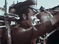    (1980) -  43