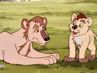  ,   (1994) -  5