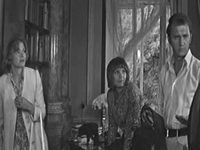    (1972)