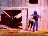   (1999) -  1