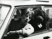    (1986) -  7